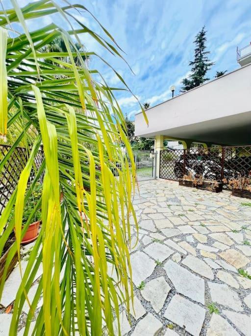 Suite Dei Fiori - Luxury Open Space Sanremo Dış mekan fotoğraf